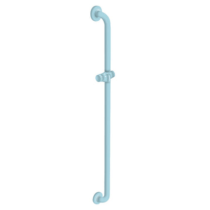 48 Inch Vertical Grab Bar with Shower Head Holder